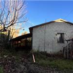 Apri Galleria Immagini